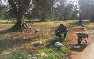 A San Michele cittadini in azione contro l’abbandono dei rifiuti