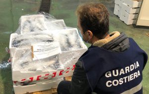 La Guardia Costiera sequestra 100 kg. di cefali