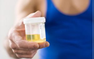 Rifiuta di sottoporsi al drug-test: denunciato 21enne