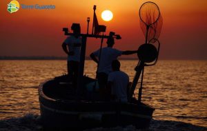 Torre Guaceto: stop alla pesca per un mese per il bene della riserva