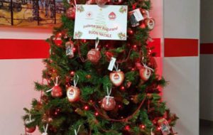 Aido e Croce Rossa Italiana: un Albero di Natale come simbolo della sinergia durante il lockdown