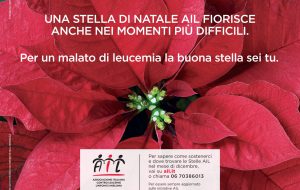 Tornano le stelle di Natale AIL