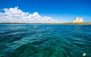 In arrivo nuove azioni per Torre Guaceto grazie agli utenti della riserva