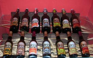 Sì unanime del Consiglio Regionale alla valorizzazione ed il sostegno della produzione di birra artigianale