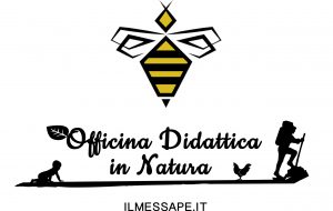 Arriva un’associazione che pone le api al centro dell’educazione e della sostenibilità ambientale