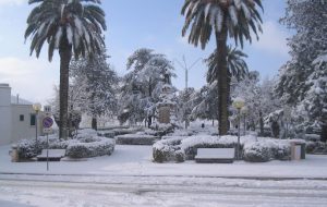 Scende la neve in Valle d’Itria: paesaggi da fiaba a Cisternino, Ostuni, Fasano e Ceglie Messapica