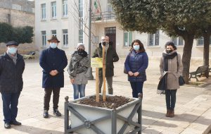San Michele Salentino: un melograno in piazza per la XX giornata mondiale contro il cancro infantile