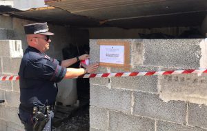 Capannoni abusivi in azienda agricola: intervengono i Forestali