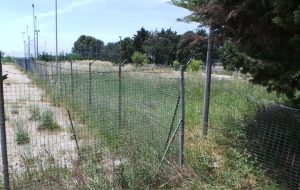 Calcio, calcetto, padel, squash, piscina, palestra e giochi per bambini: tornerà a rivivere l’impianto ex Acsi