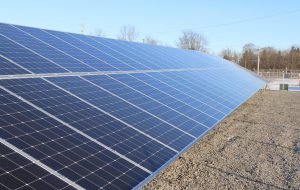 I Verdi contro il megaimpianto fotovoltaico tra le campagne delle province di Brindisi e Lecce