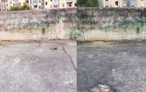 Cacca dei cani nei pressi delle scuole: servono a poco gli interventi di pulizia se non cambia la mentalità dei padroni sporcaccioni