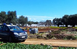Bruciava plastica e polistirolo in un vivaio: blitz dei Forestali allertati dal cattivo odore