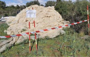 Rifiuti abusivi dal tarantino alle contrade di Francavilla: intervengono i Carabinieri Forestali