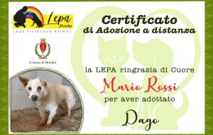 Le.P.A.: “Lontani dagli occhi. Vicini col cuore”, adotta un cane o un gatto a distanza