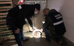 La Guardia Costiera sequestra tre tonnellate di Cetrioli di Mare