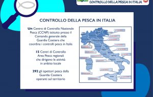 La Guardia Costiera presenta il Rapporto 2020 sul controllo pesca in Italia