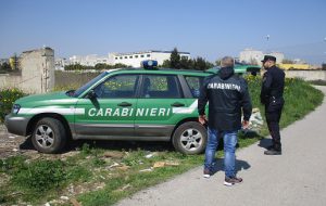 Motocarro con carico abusivo di rifiuti speciali fermato dai Forestali: denunciato l’autista