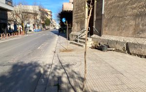 Francavilla: piantumati 32 alberi in via San Francesco