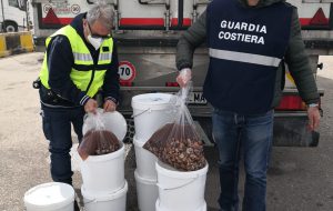 Sequestrati 80 Kg. di cozze nere sgusciate provenienti dalla Grecia
