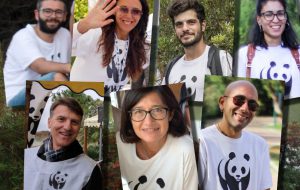 Ecco il nuovo Consiglio Direttivo dell’Associazione WWF Brindisi ONLUS