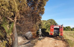 Principio di incendio a Torre Guaceto domato dal Consorzio