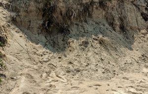 Sbancati 13 metri di dune nella spiaggia di Torre Pozzella concessa ad un villaggio turistico