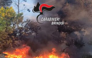Incendia rifiuti pericolosi speciali nel suo terreno: denunciata