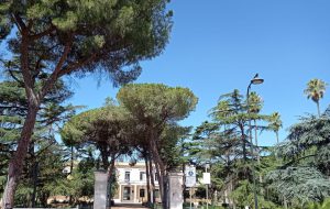 Quale futuro per il verde pubblico a San Vito dei Normanni?
