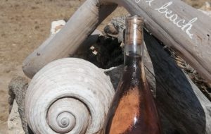 Un granchietto nel mare di Porto Guaceto: Domenica 25 degustazione sotto l’ombrellone di Porto Guaceto Agribeach