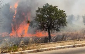 Tragedia nel Brindisino: dipendente Arif muore durante operazioni di spegnimento incendio