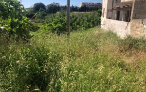 Luperti: “le piazzette del rione Sant’Angelo versano nuovamente in una situazione di profondo degrado”