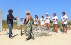 Sbarca a Torre Guaceto PatrioTurtle: la tartaruga che protegge gli animali marini dalla plastica