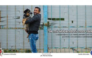 “Se mi abbandoni non vale”: parte la campagna del Comune di Brindisi contro l’abbandono degli animali