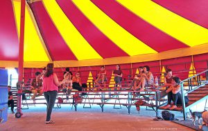 Arriva a Brindisi il Circo Sociale senza animali: al via il corso gratuito “Clan – Giovani in Scena”