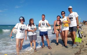 Volontariato WWF a Torre Guaceto: un successo da replicare