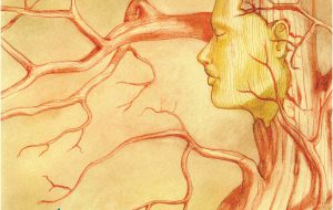 In uscita “Calìmi”, il nuovo libro di poesie di Pierpaolo Petrosillo. Di Marco Greco