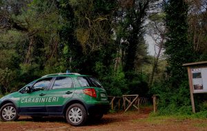 A caccia vicino il Parco delle Saline: denunciato 65enne