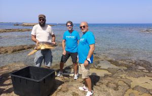 Global Care Day: i volontari LyondellBasell insieme al WWF puliscono l’arenile del Castello Alfonsino.