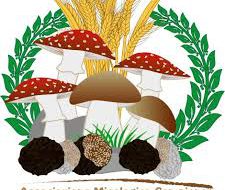 La Pro Loco di Tuturano organizza corso di formazione per il rilascio del permesso di raccolta funghi