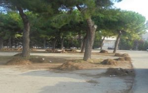 La zona del Fanuzzi si rifà il look: 569mila euro per un nuovo parco, la riqualificazione del parcheggio e il riuso delle acque piovaneggio dello stadio Fanuzzi