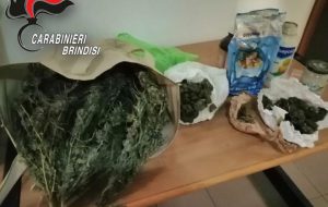 Nasconde mezzo Kg di erba nella camera da letto: arrestato 40enne
