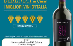 Prestigioso riconoscimento per “Susu’”, il Susumaniello di Cantine Risveglio