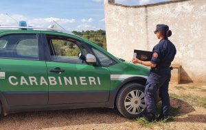 Abusi edilizi: i Carabinieri Forestali denunciano tre persone a Ceglie Messapica