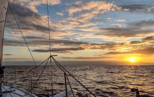 Marina Militare Nastro Rosa Veloce – Fincantieri Cup: arrivati i primi, occhi puntati sul resto della flotta