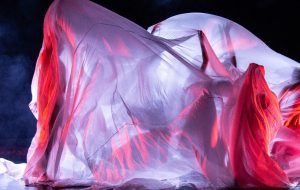 Non tutti sanno che…: al Nuovo Teatro Verdi la danza di Elisa Barucchieri