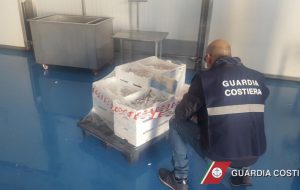 La Guardia Costiera sequestra oltre un quintali di prodotti ittici