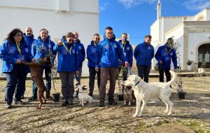 Contro la Xylella in campo la task force dei cani ENCI