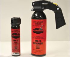 Ubriaco molesto aggredisce poliziotti: bloccato solo dallo spray al peperoncino