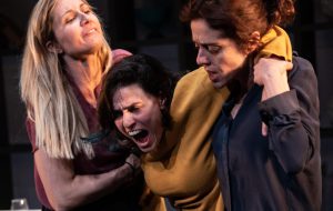 Nuovo Teatro Verdi: mercoledì 16 Vanessa Scalera in “Ovvi destini”