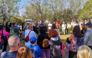 Libera Torre Guaceto: trovato nido di fratino durante la pulizia